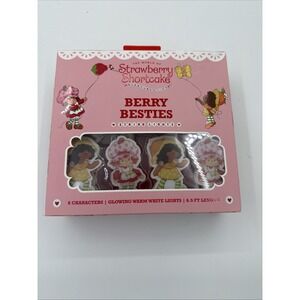 Strawberry shortcake string lights battery operated lights new in box
